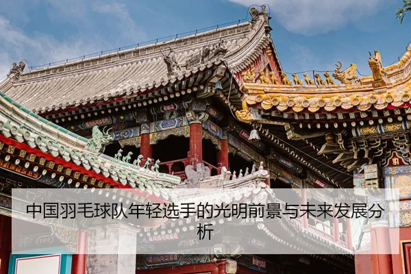 中国羽毛球队年轻选手的光明前景与未来发展分析